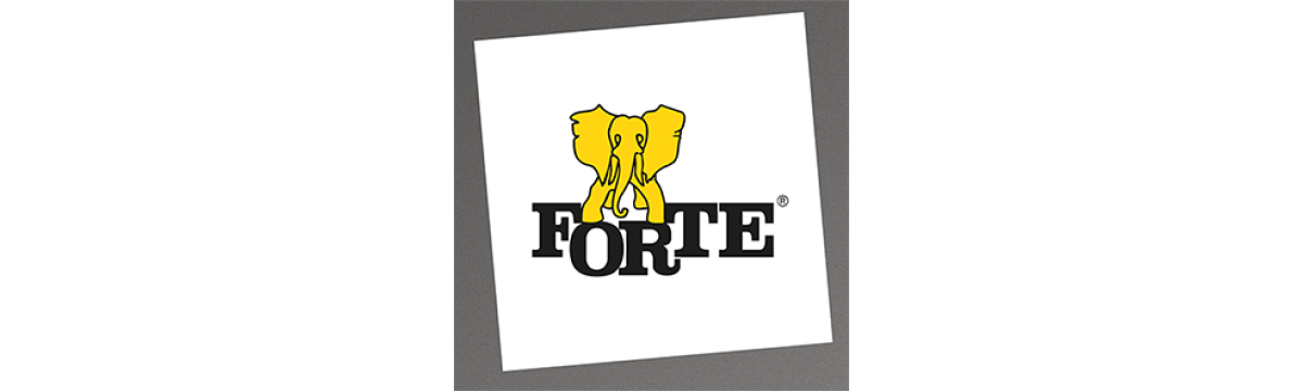 FORTE (POLAND) image