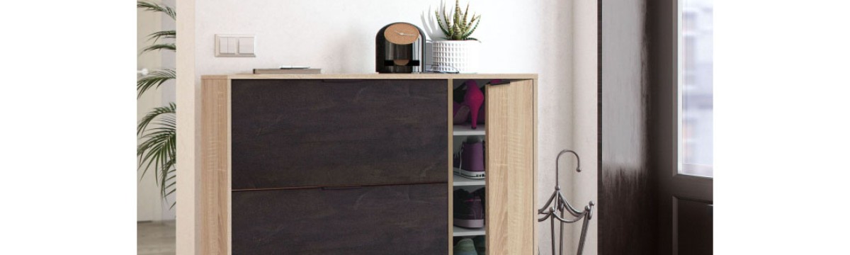 Shoe cabinets and storage image