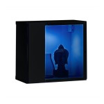 Wall display cabinet SWITCH WW 5, black gloss