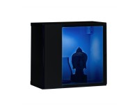 Wall display cabinet SWITCH WW 5, black gloss Furniture, Living Room Furniture, Furniture Wall Units, Organizational Furniture, Modern Furniture Wall Units, Modular Furniture, Showcases Modern, Display Cabinets For The Living Room, Collection SWITCH image