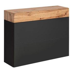 Closed shoe cabinet EASY type 09, matt black