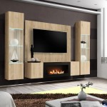 FLY M-P3 wall unit with a bio fireplace and a panel, Hickory Jackson