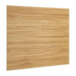 SMART wall TV panel, 120 cm