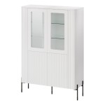 ויטרינה VERA 110 ס
