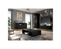 Витрина RAVENNA B 60 см, 1 дверь и 1 ящик, чёрный матовый, золотая рама