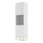 Витрина RAVENNA C 60 см, 1 дверь и 1 ящик, белый матовый с фасадом белым глянцем, золотая рама