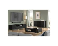 TV unit SURF 200 cm, 2 doors and 2 drawers, black mat, black legs