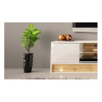 TV unit VISIONARY 180 cm, white mat with white gloss front, wotan oak back panel