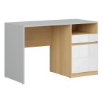 Desk NANDU 120 cm, 1 door and 1 drawer, grey with oak