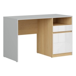 Desk NANDU 120 cm, 1 door and 1 drawer, grey with oak