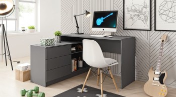 Writing Desk and Computer Desks 