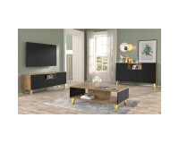 TV unit RAVENNA PB 150 cm, 2 doors and a drawer, artisan oak with black matt, golden legs