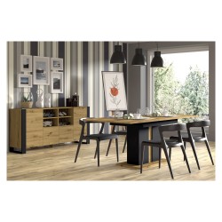 שידה MONDI 188, 2 דלתות ו-2 מגירות, אלון ארטיסן