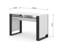 Desk MONDI 120 cm, white matt
