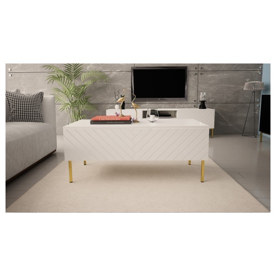 Coffee table GINAX 120 cm, white gloss