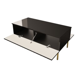 Coffee table HESSERACT 120 cm, black gloss Coffee table HESSERACT 120 cm, black gloss