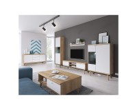 PRIMO tv unit 160 cm, white with Riviera oak