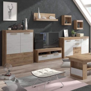 Furniture Wall Unit MAXIMUS VI